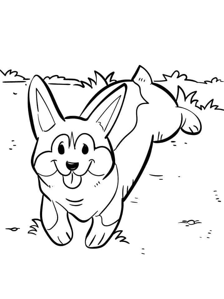 Coloriage Un Corgi Mignon