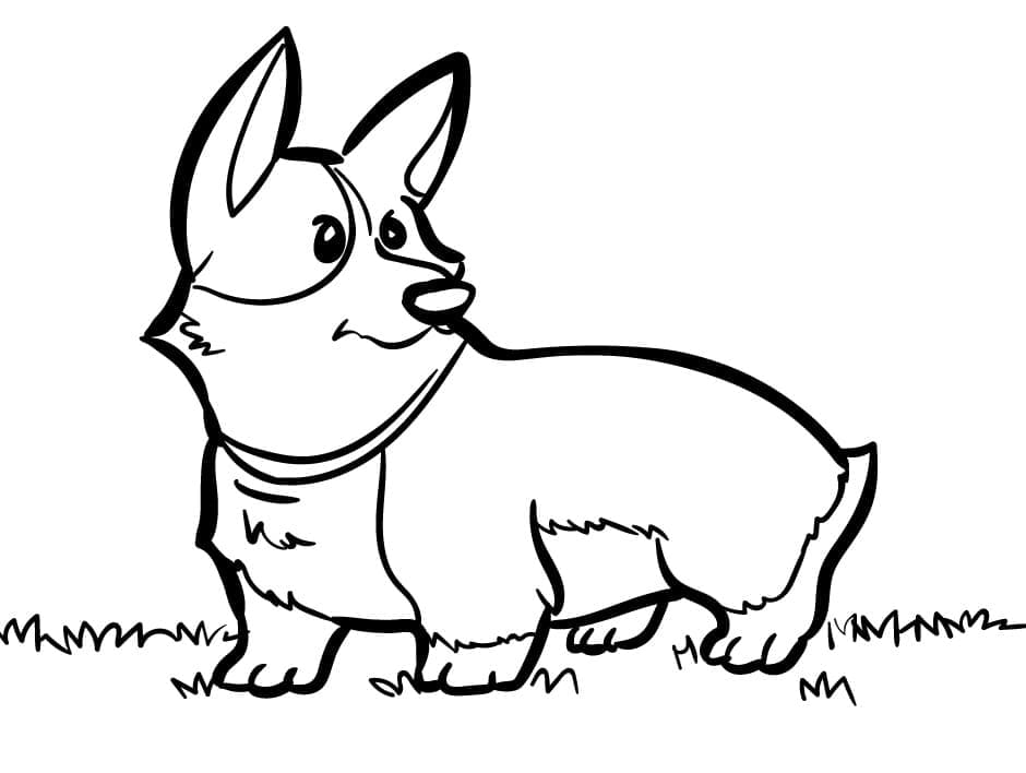 Coloriage Un Corgi très Mignon