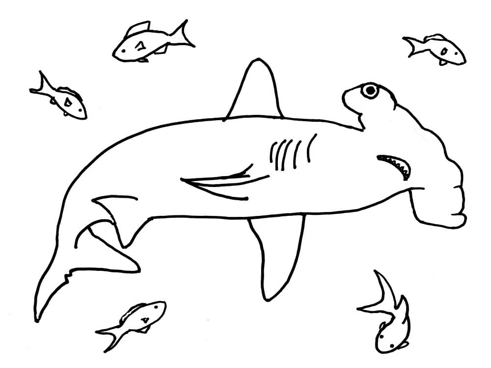 Coloriage Un Requin-marteau Nageur