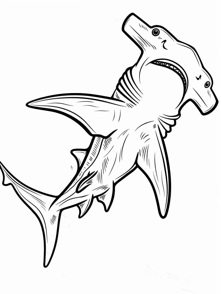 Coloriage Un Requin-marteau Normal