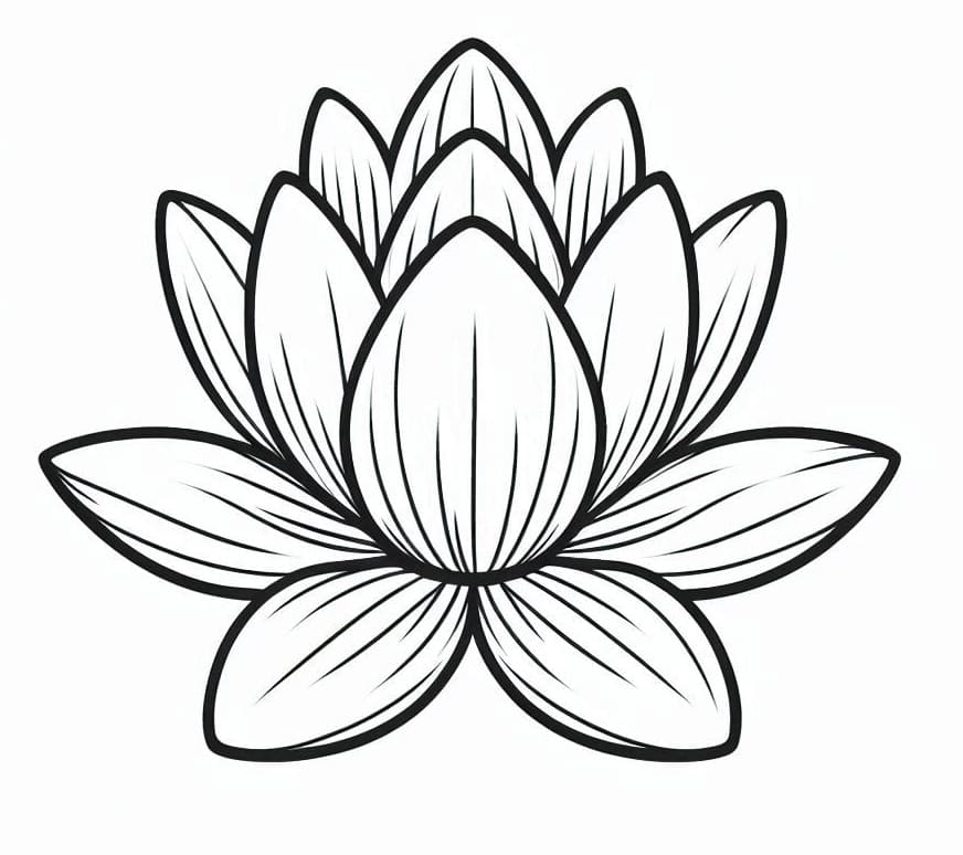 Coloriage Beau Nénuphar