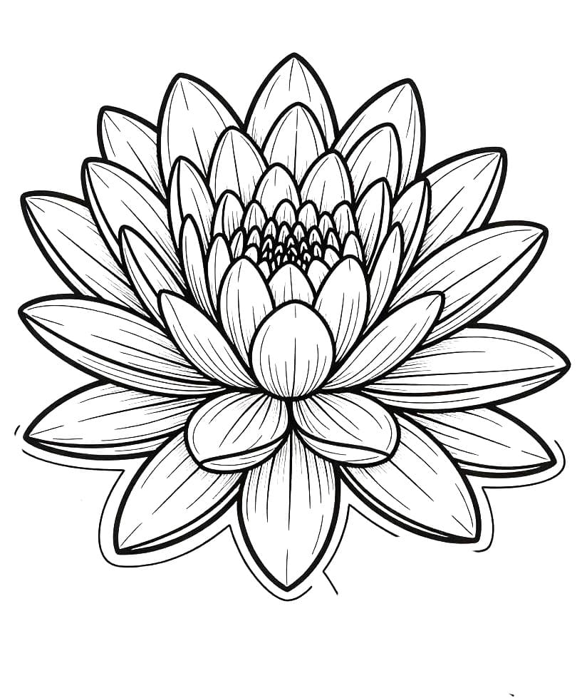 Coloriage Dessin de Nénuphar