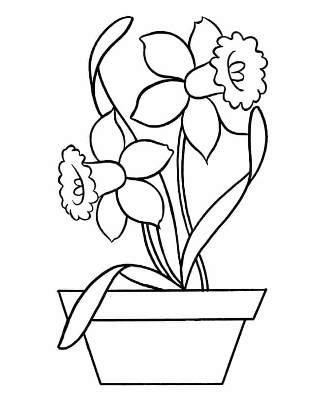 Coloriage Dessin de Pot de Fleurs