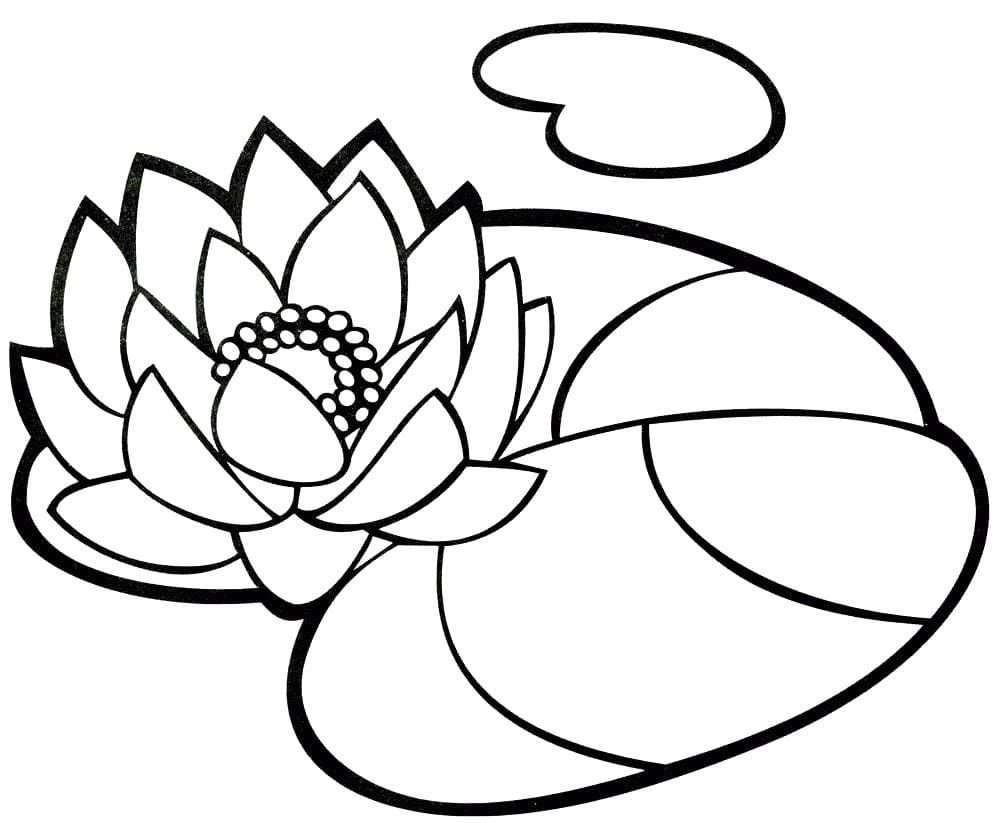 Coloriage Imprimable Gratuit Nénuphar Pour les Enfants