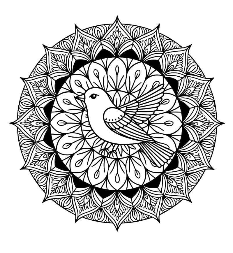 Coloriage Imprimable Mandala Oiseau