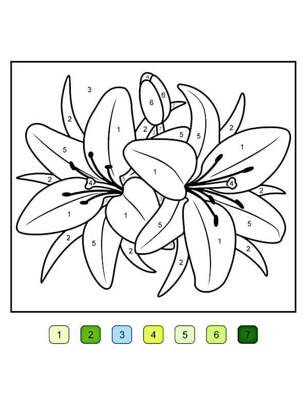 Magique Fleur de Lys Coloriage Magique Fleur de Lys