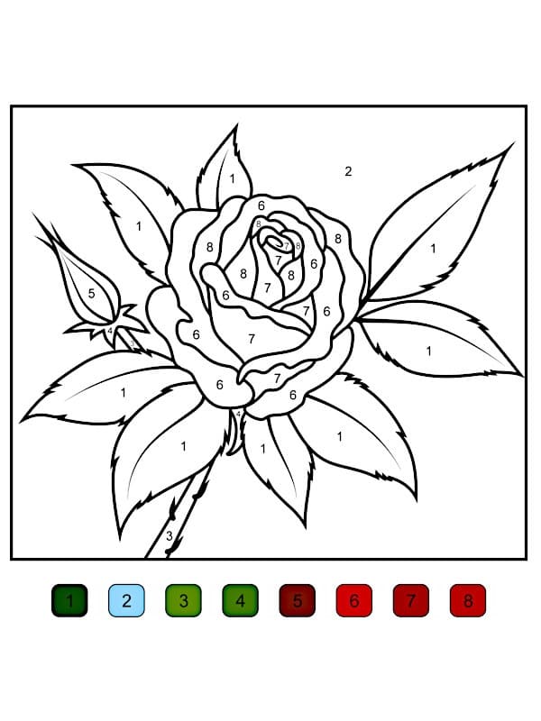 Magique Fleur de Rose Coloriage Magique Fleur de Rose