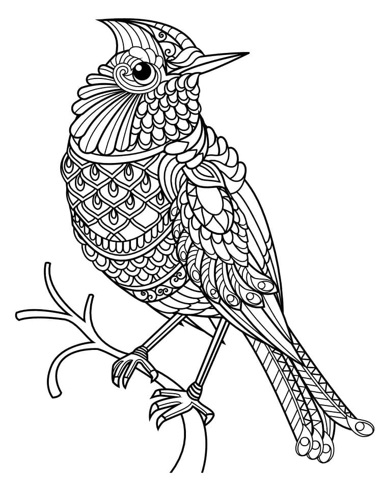 Coloriage Mandala d'oiseaux fantastiques