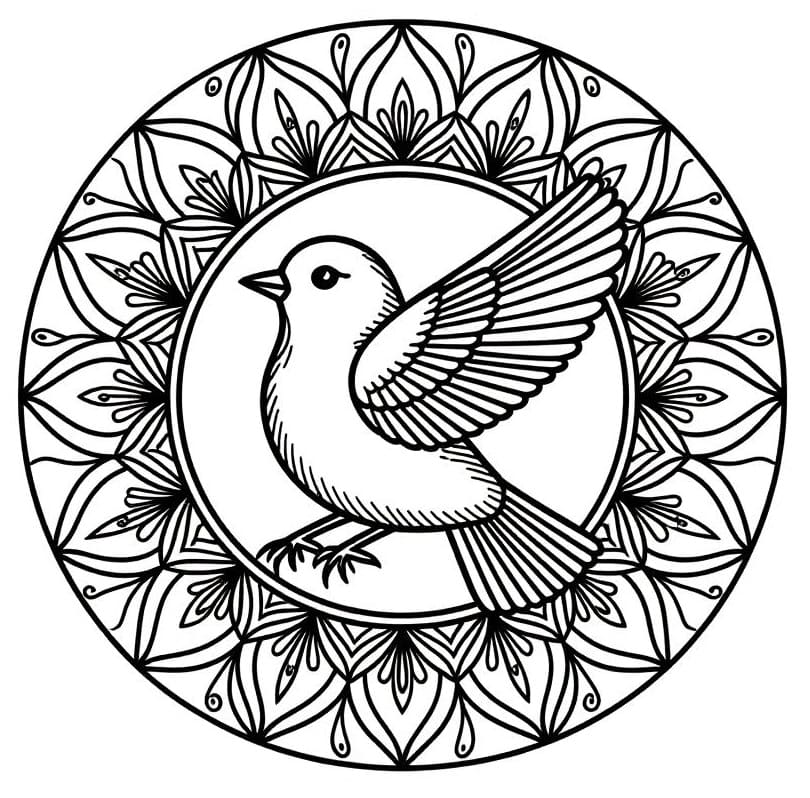 Coloriage Mandala Oiseau 2