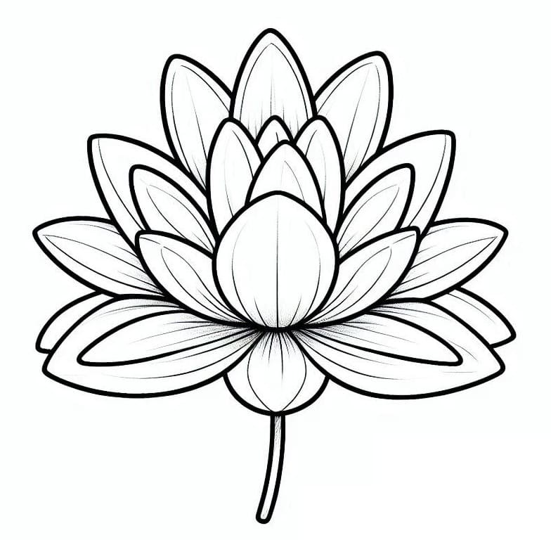 Coloriage Nénuphar Facile