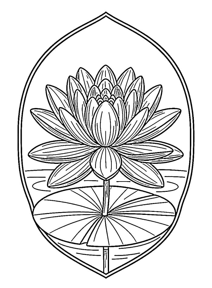 Coloriage Nénuphar Imprimable Gratuit