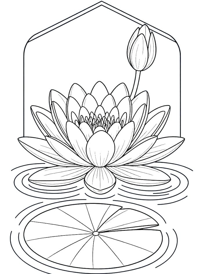 Coloriage Nénuphar Imprimable Pour les Enfants