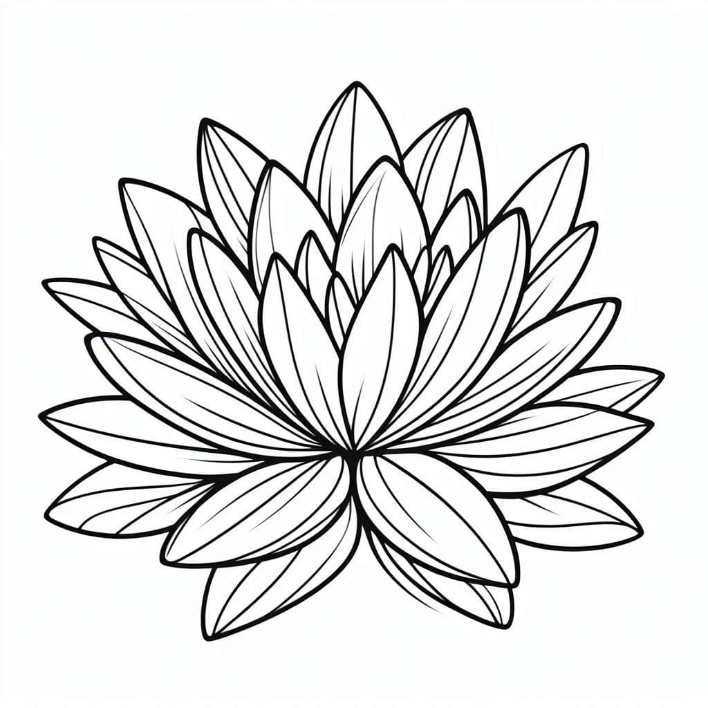 Coloriage Nénuphar Imprimable