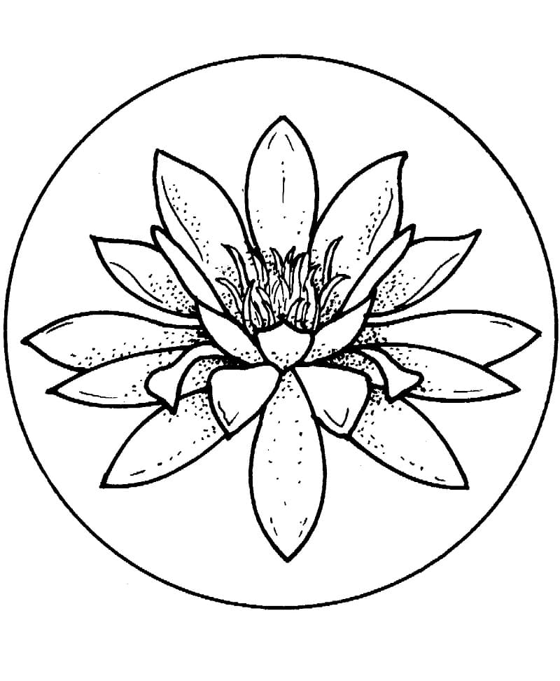 Coloriage Nénuphar Pour les Enfants de 2 Ans