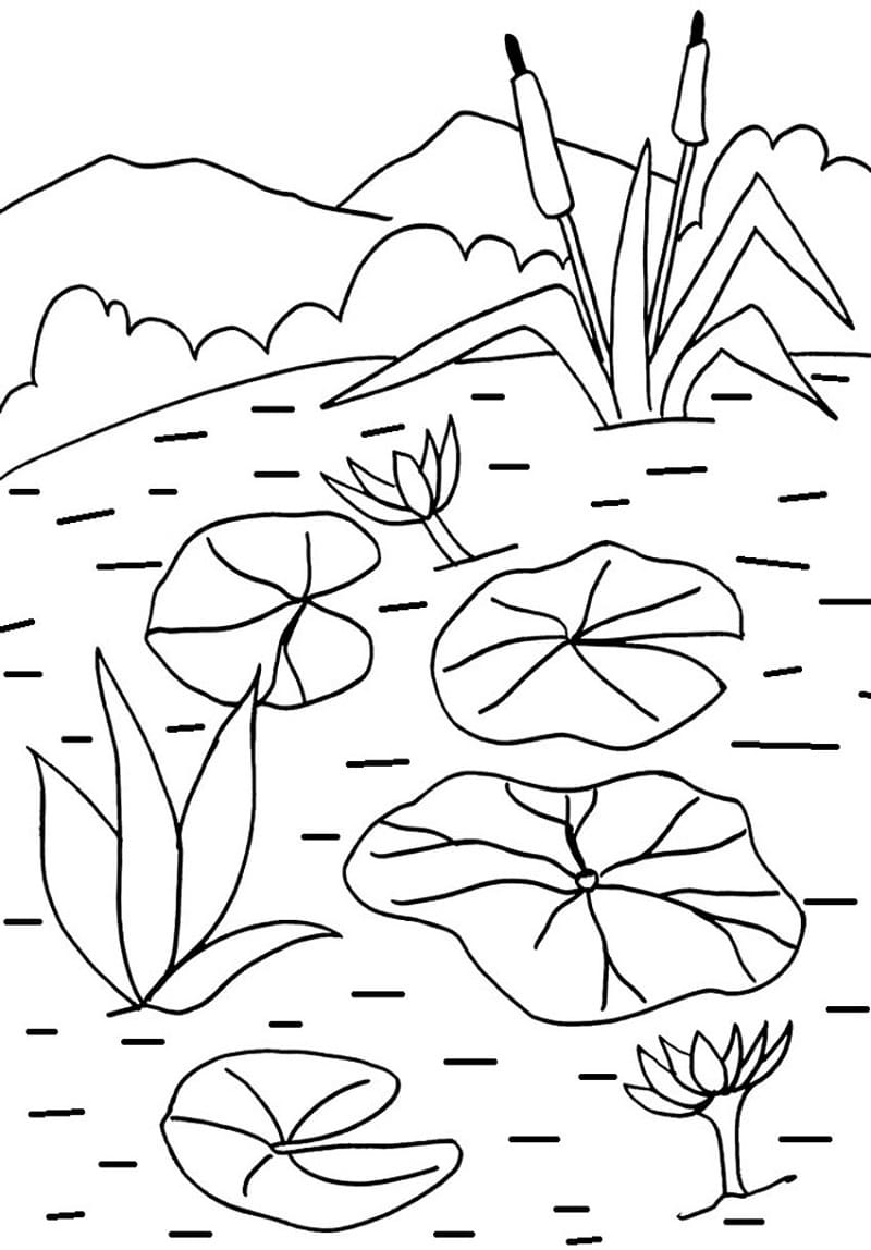Coloriage Nénuphar Pour les Enfants de 6 Ans