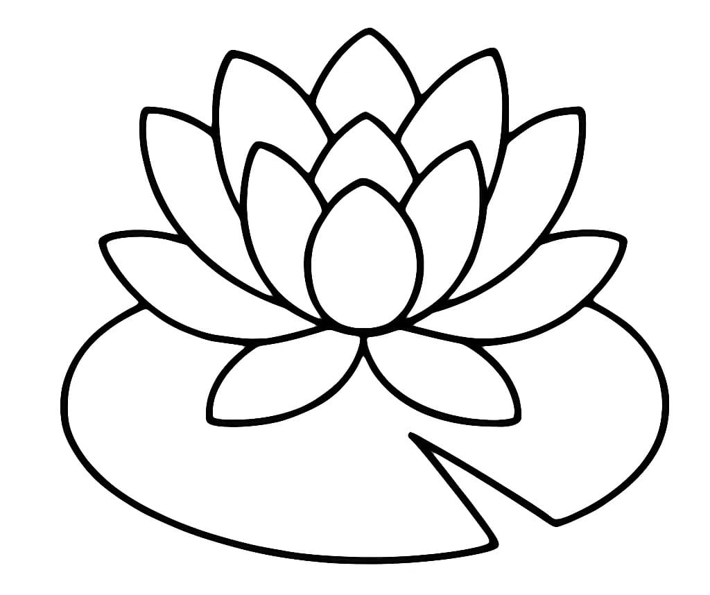 Coloriage Nénuphar Simple