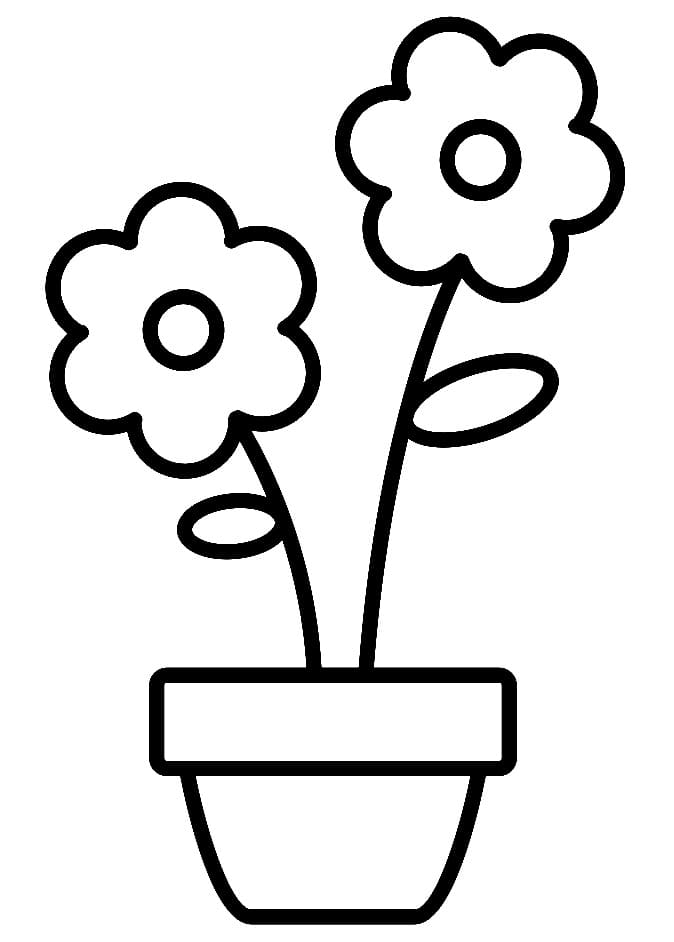Coloriage Pot de Fleurs Facile