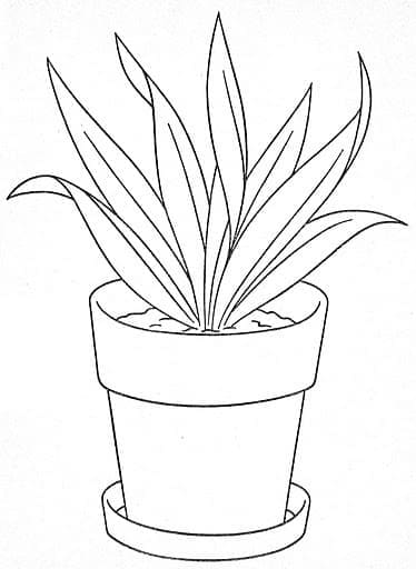 Coloriage Pot de Fleurs Imprimable Gratuit