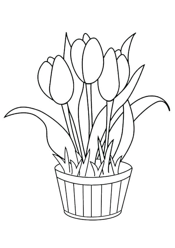 Coloriage Pot de Fleurs Imprimable