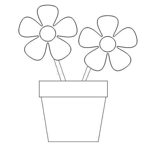 Coloriage Pot de Fleurs Parfait
