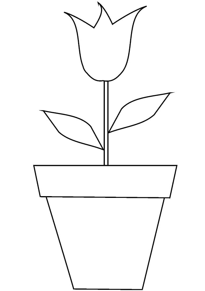 Coloriage Pot de Fleurs Simple