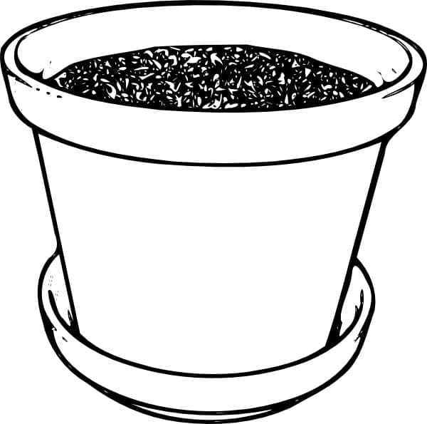 Coloriage Pot de fleurs vide