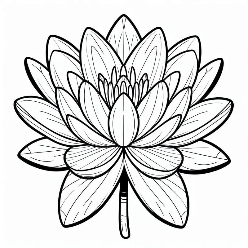 Coloriage Un Nénuphar