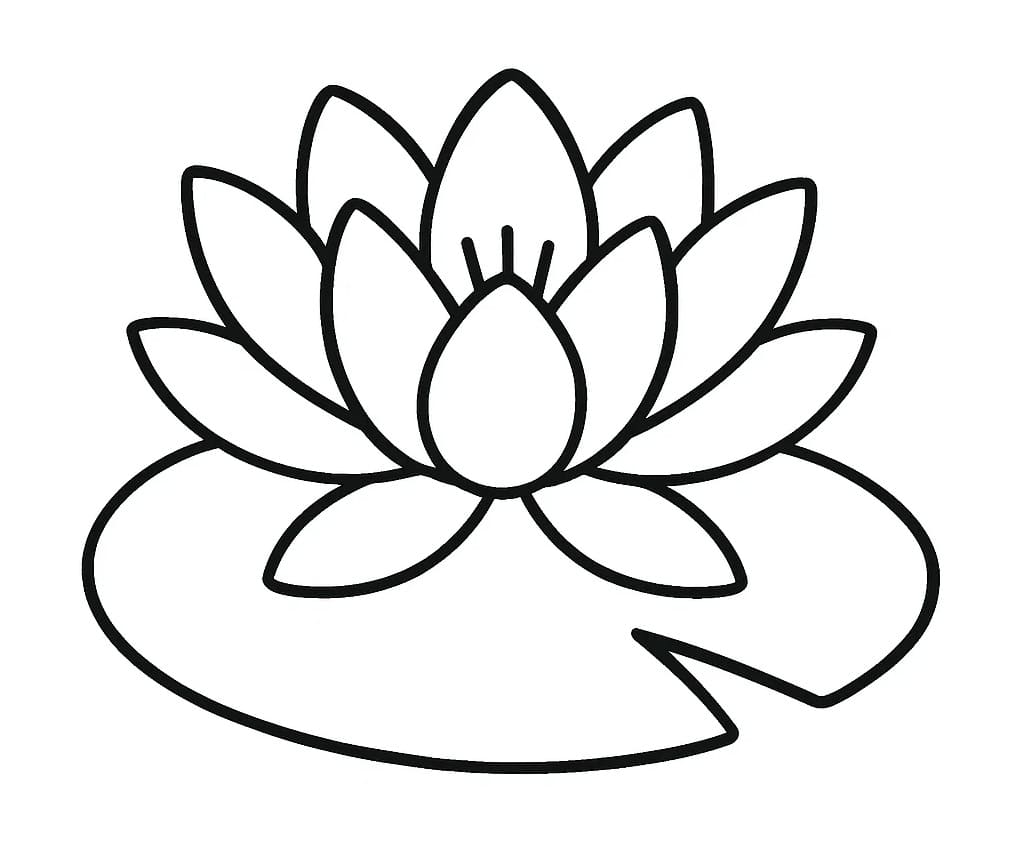 Coloriage Un Simple Nénuphar