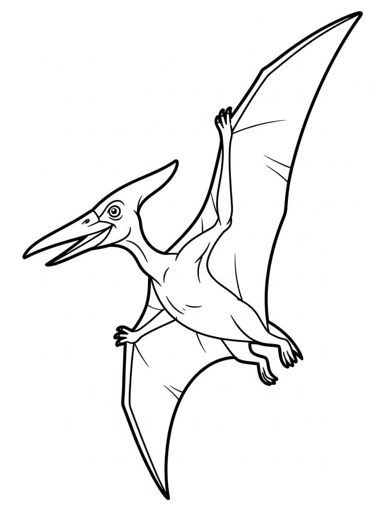 Coloriage Dessin de Ptérodactyle Gratuit