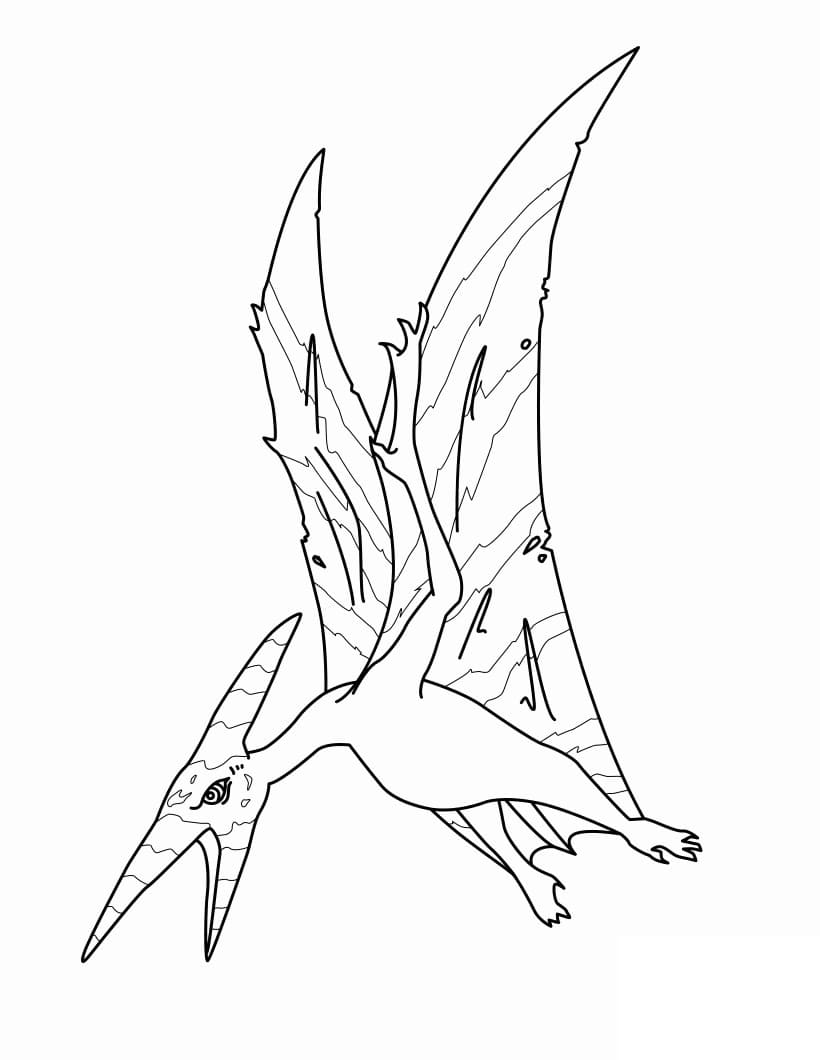 Coloriage Imprimable Gratuit Ptérodactyle