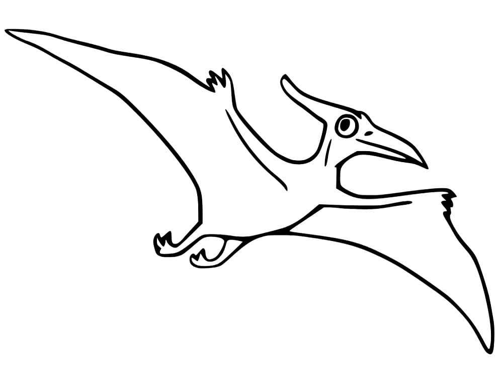 Coloriage Ptérodactyle Gratuit