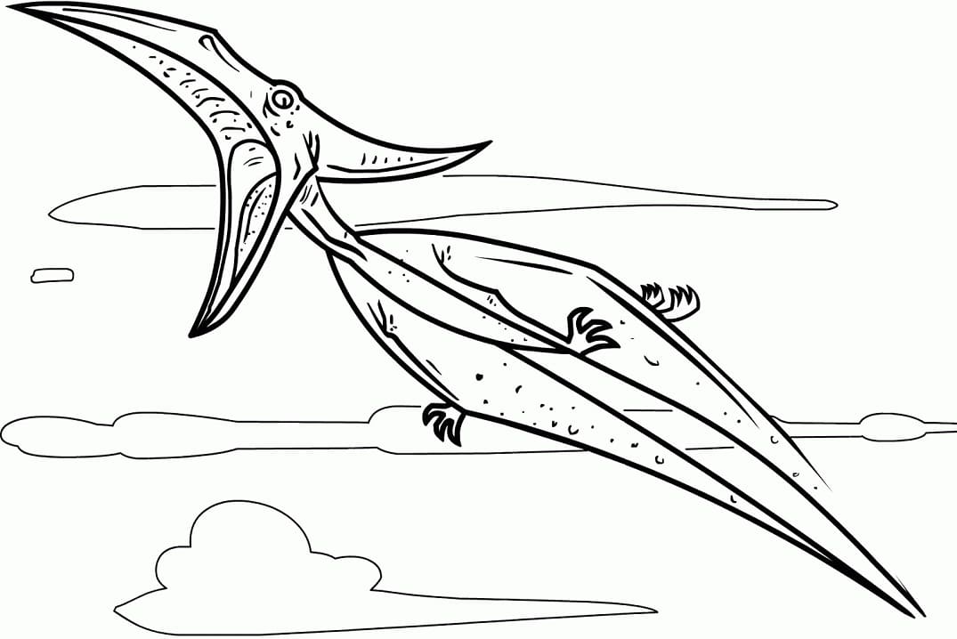 Coloriage Ptérodactyle Pour Enfants