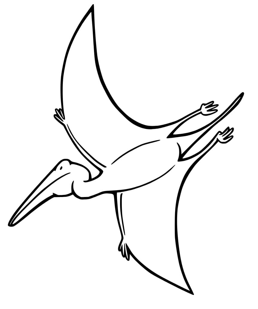 Coloriage Ptérodactyle Pour les Enfants