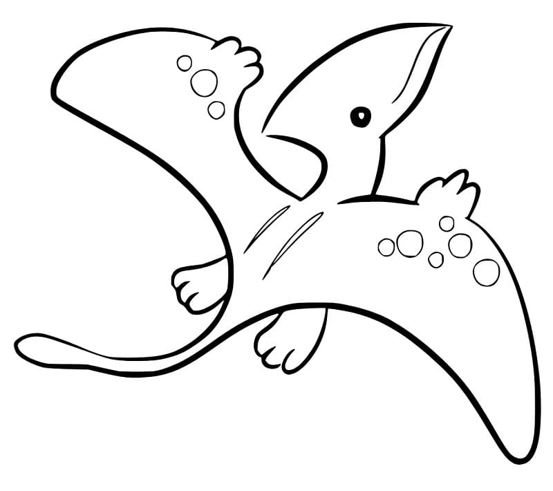 Coloriage Un Ptérodactyle Mignon