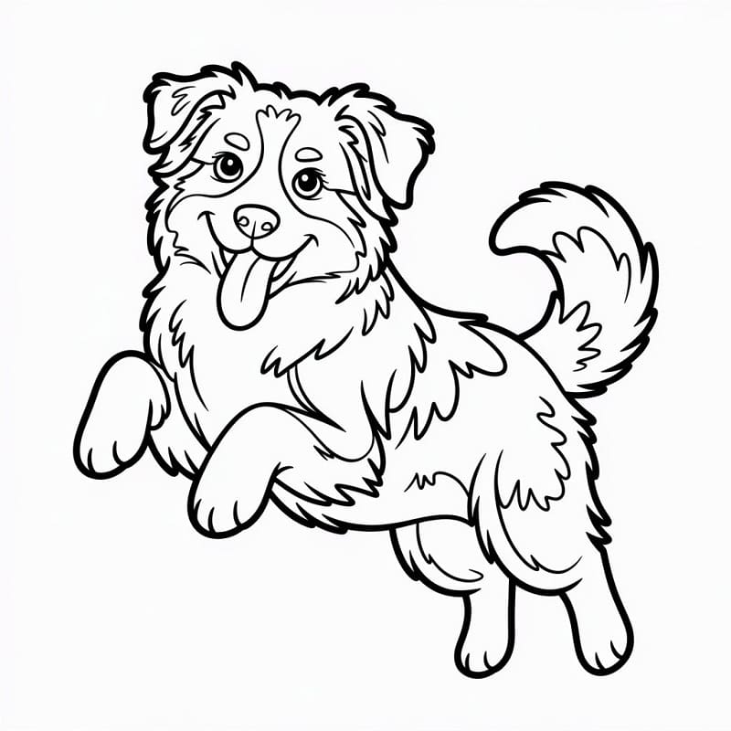 Coloriage Berger australien mignon
