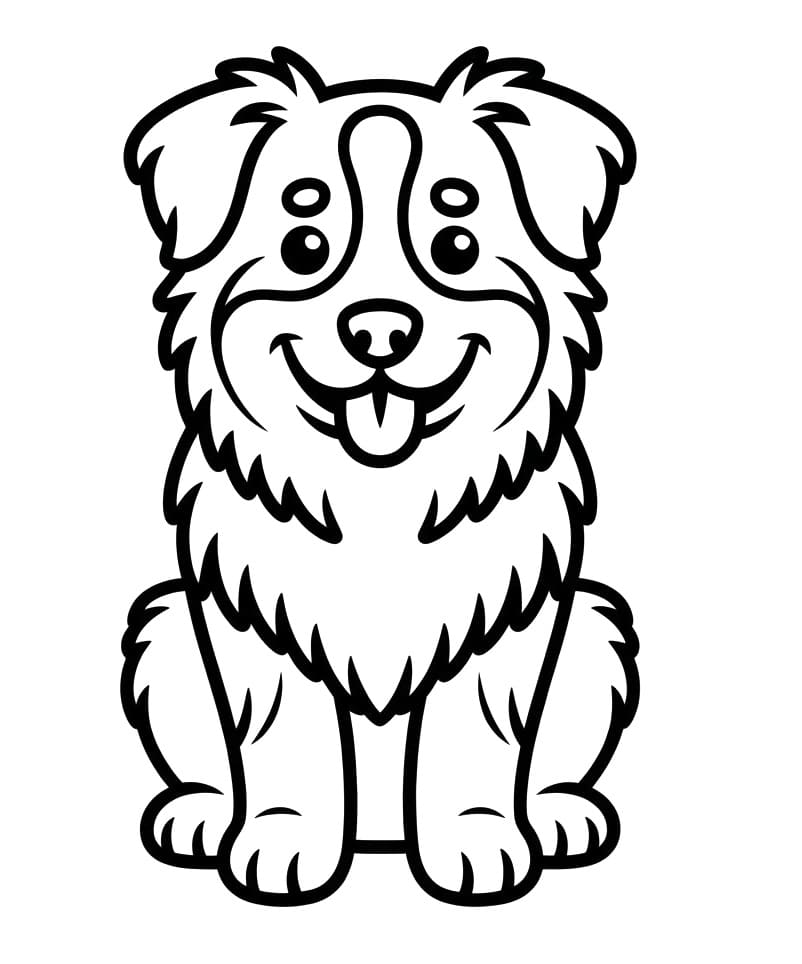 Coloriage Berger australien souriant