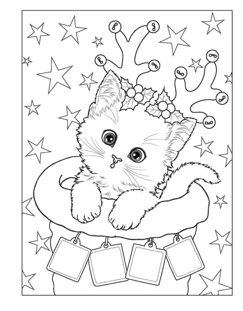 Coloriage Chat de Noël curieux