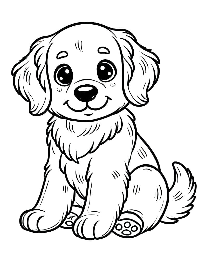 Coloriage Golden Retriever mignon