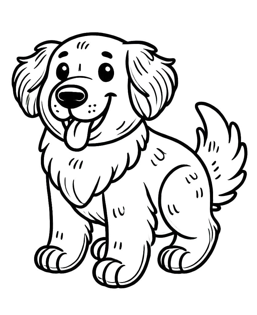 Coloriage Golden Retriever souriant