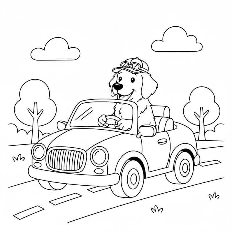 Coloriage Un golden retriever conduit une voiture
