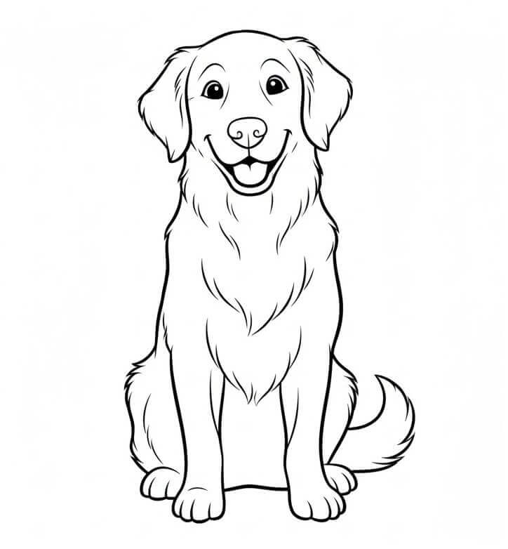Coloriage Un Golden Retriever Heureux
