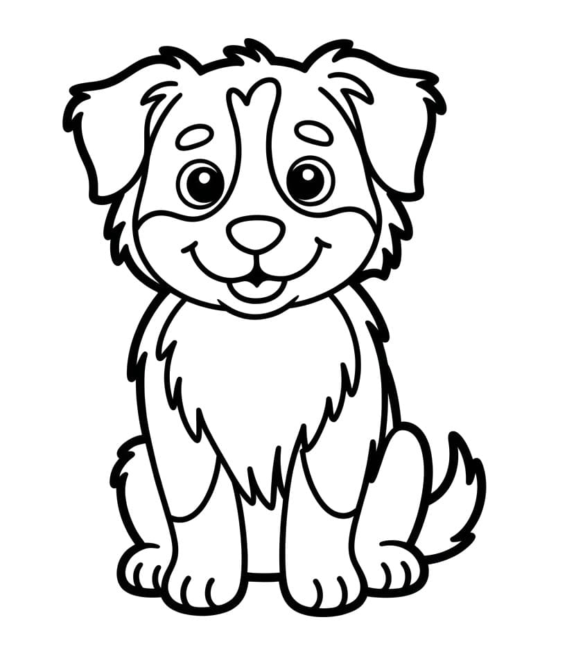 Coloriage Un petit berger australien