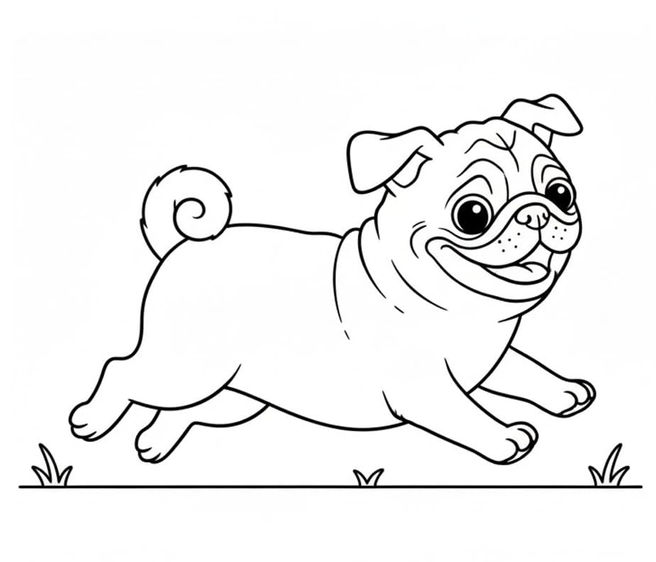 Coloriage Carlin Courant