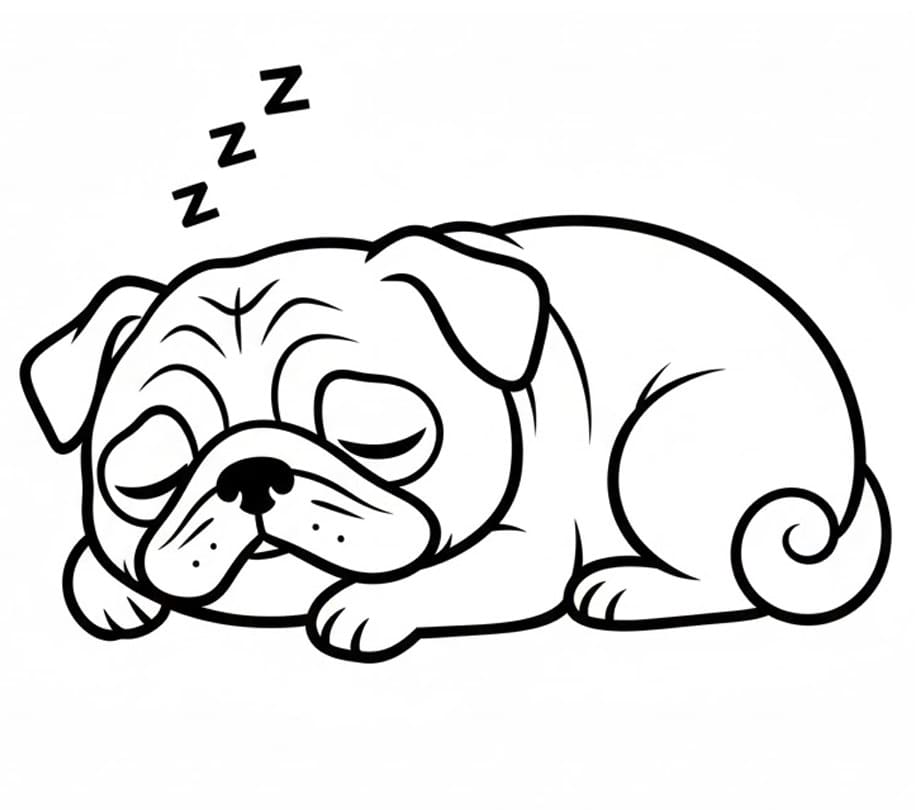 Coloriage Carlin Endormi