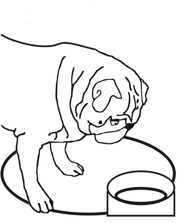 Coloriage Imprimable Carlin