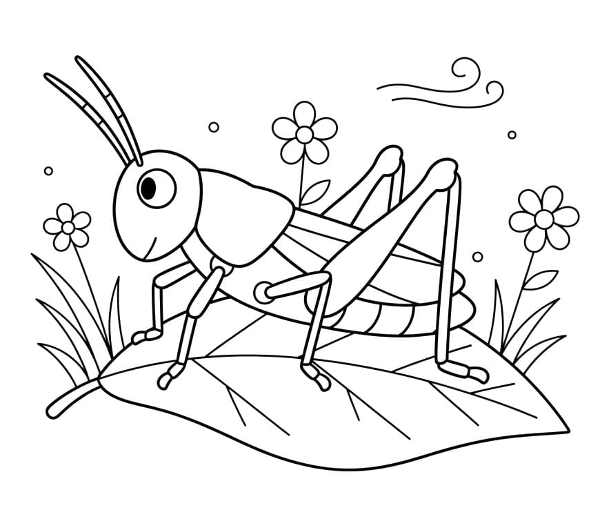 Coloriage Sauterelle joyeuse