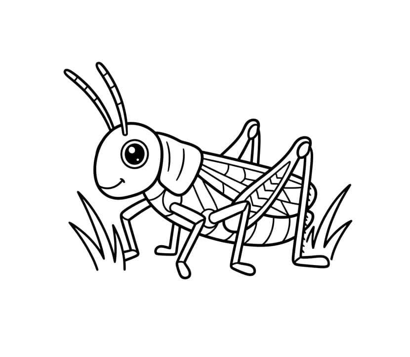 Coloriage Sauterelle mignonne