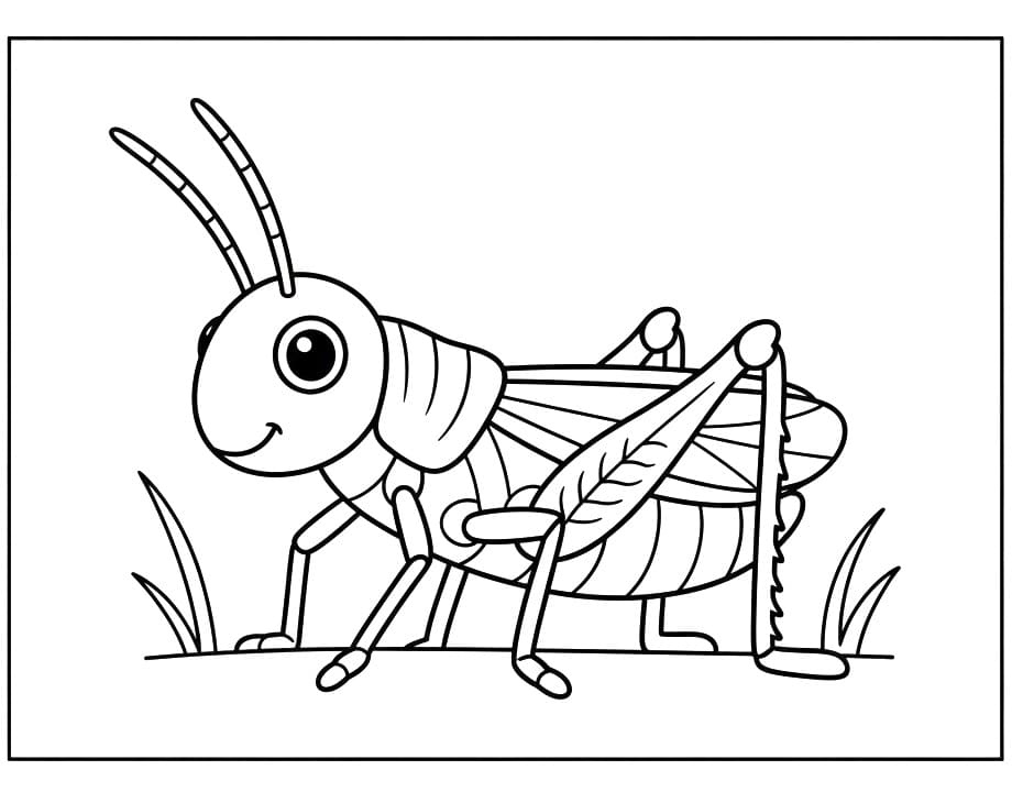 Coloriage Sauterelle souriante