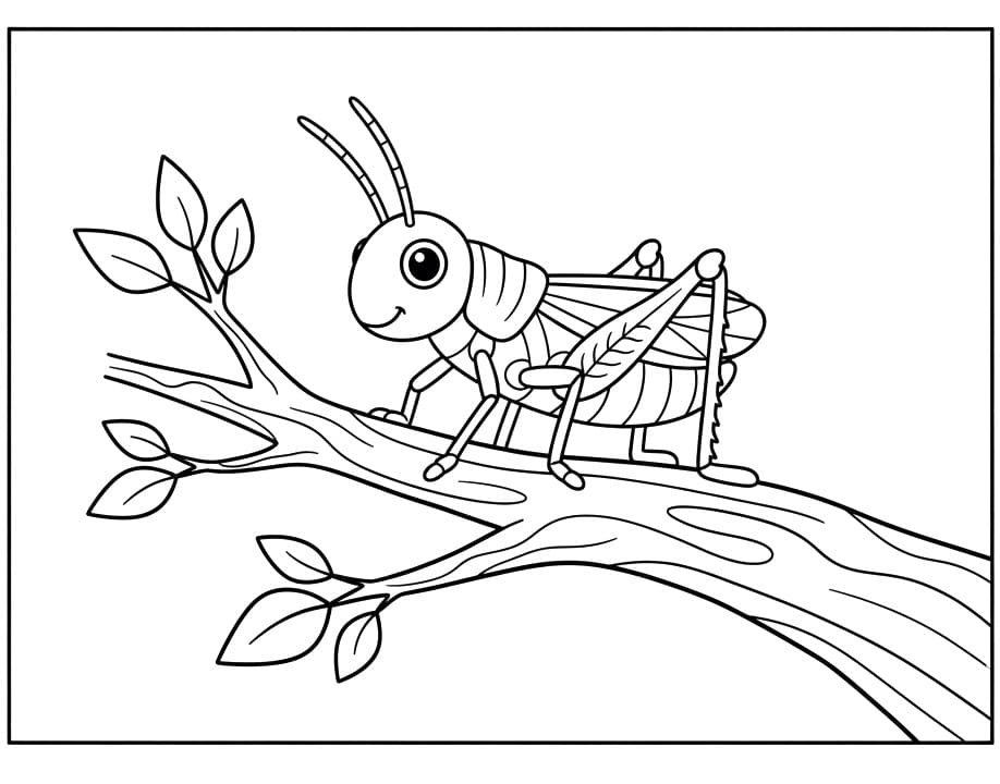 Coloriage Sauterelle sur branche