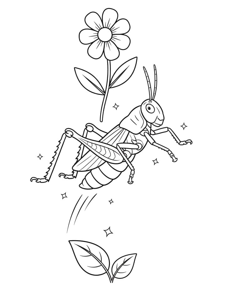 Coloriage Une sauterelle